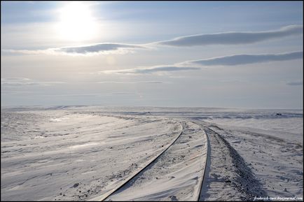 Călătorie spre Yamal (53 fotografii video), o doză de dispoziție