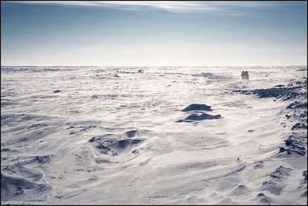 Călătorie spre Yamal (53 fotografii video), o doză de dispoziție