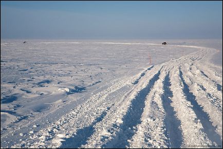 Călătorie spre Yamal (53 fotografii video), o doză de dispoziție