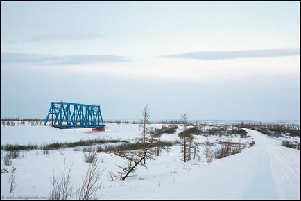 Călătorie spre Yamal (53 fotografii video), o doză de dispoziție