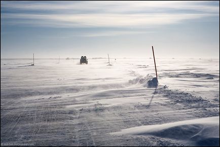 Călătorie spre Yamal (53 fotografii video), o doză de dispoziție