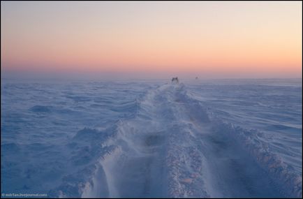 Călătorie spre Yamal (53 fotografii video), o doză de dispoziție