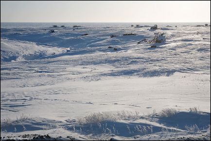 Călătorie spre Yamal (53 fotografii video), o doză de dispoziție