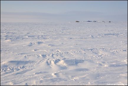 Călătorie spre Yamal (53 fotografii video), o doză de dispoziție