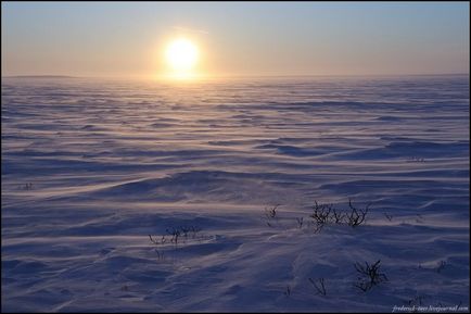 Călătorie spre Yamal (53 fotografii video), o doză de dispoziție