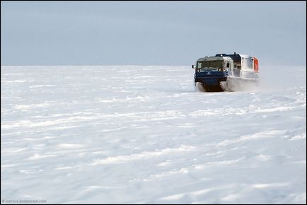 Călătorie spre Yamal (53 fotografii video), o doză de dispoziție