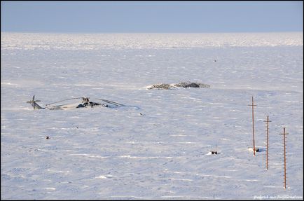 Подорож на ямал (53 фото відео), доза настрою