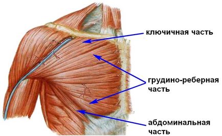Ruptura musculară