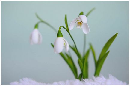 Floristica realistă a portului marin - remesla