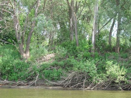 River moksa - turista klub megnyitása távlatokat