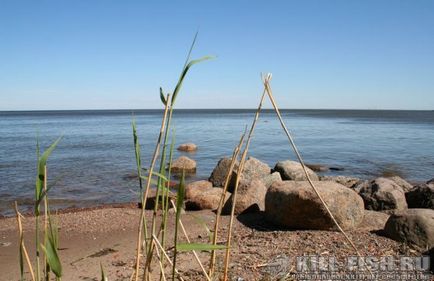 Pescuitul în Golful Finlandei