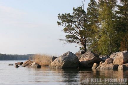 Pescuitul în Golful Finlandei