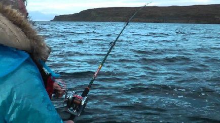 Pescuitul pe Golful Kola - vânătoare și pescuit în Rusia și în străinătate