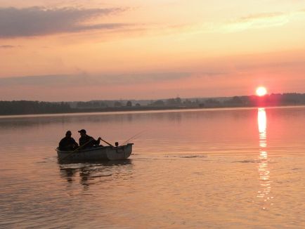 Риболовля на сома з донкою за річковим гігантом, як зловити сома