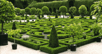 Сад в стилі кантрі і його особливості