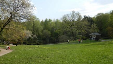 Sakura în Grădina Botanică