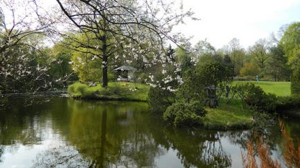 Sakura în Grădina Botanică