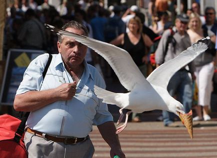 Найвдаліші кадри зроблені в потрібний момент - фото світ фактів