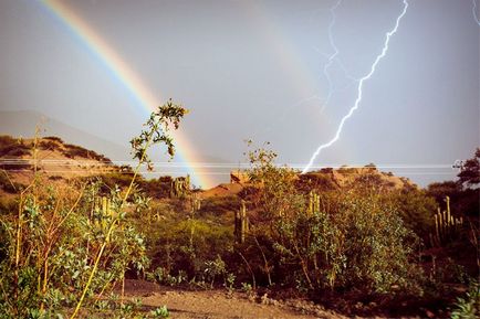 Cele mai de succes fotografii realizate la momentul potrivit - lumea fotografiilor