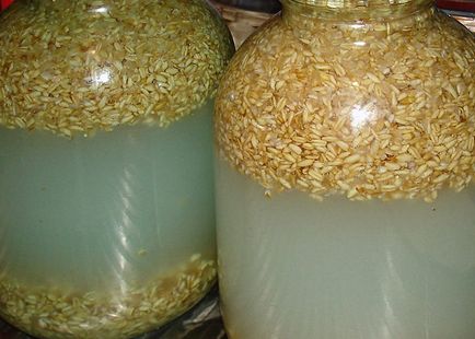 Самогон з пшениці без дріжджів рецепт виготовлення, пропорції