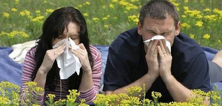 Febra febrei (febra fânului) simptome și tratament