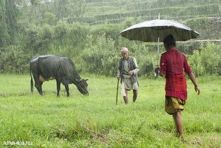 Sezonul ploios în Thailanda - ce să faceți în ploaie, fotografii, recenzii, sfaturi de călătorie, ghid de călătorie Phuket