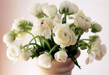 Charm casa cum să păstreze mai mult flori într-o vază