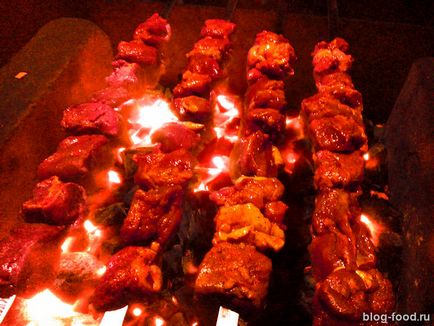 Shish kebab din reteta de rață cu poze cum să gătești