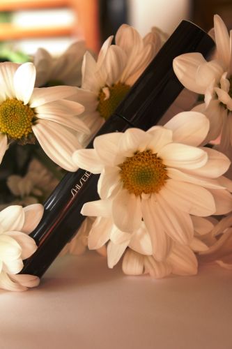 Shiseido sau 6 recenzii japoneze de cosmetice