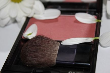 Shiseido sau 6 recenzii japoneze de cosmetice