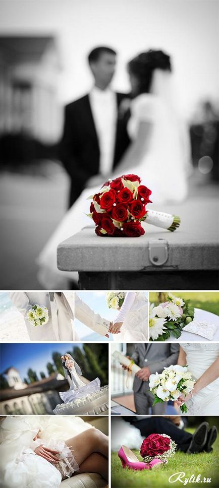Силует нареченої і рослинні візерунки - красиві весільні малюнки