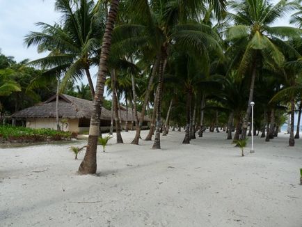 Singapore și Filipine (partea 2) - Manila, Boracay, Bohol (panglao), vârful