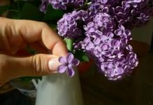 Бузок з фоамірана майстер-клас з фото, квіти і як зробити мк