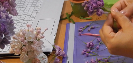 Liliac din clasa maestru spumaniran cu fotografie, flori și cum se face mk