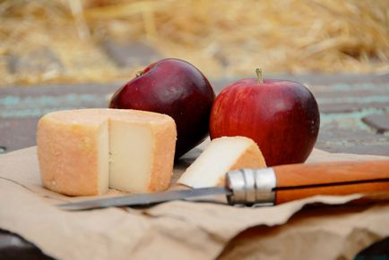 Brânză cu mucegai tot ce trebuie să știți despre - soiuri aromate - așa cum există