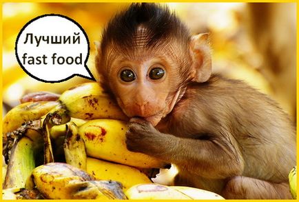 Сонячний супер-фрукт! 10 дивовижних фактів про банані!