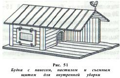 Modalități de păstrare a unui câine și de îngrijire a acestuia (partea 2) - totul despre medicina veterinară