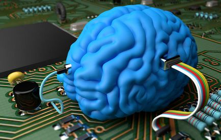Összehasonlítása az agy és a processzor - a természetes szelekció ellen az  új technológiák