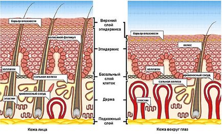 Mediana peeling fata de metode fizice si chimice, contraindicatii, soiuri