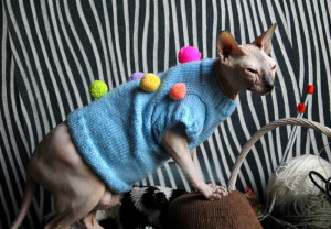 Croșetați hainele pentru pisoi - cum să legați hainele pisicilor de pulovere pentru obiectele de artizanat ale pisicilor