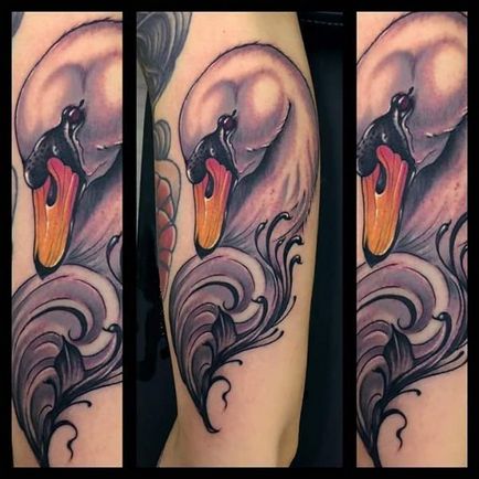 Tattoo Swan érték tetoválás, fotók, vázlatok