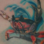 Valoarea crabului tatuajului, fotografie și schițe