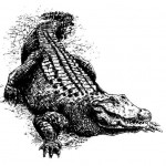 Тату крокодил значення, фото і ескізи