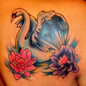 tetoválás hattyúk