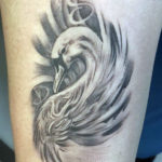 Tattoo Swan, válasszon ki egy rajzot és a stílus és csodálja fotók