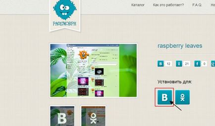 Teme pentru vkontakte și colegii de clasă - pagemorph