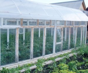 Greenhouse-tető a kezüket, hogy hogyan lehet az üvegházhatás átváltható