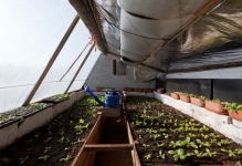Az üvegházban a talaj és a felszín alatti évben kertészeti saját kezűleg nélkül mélyreható