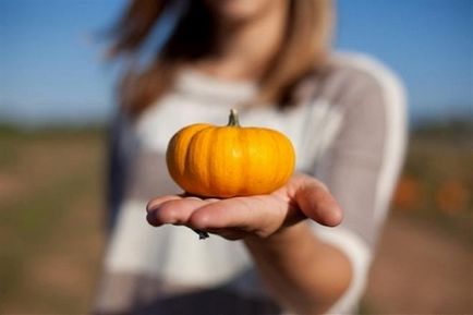 Pumpkin dieta meniu de slăbire cu dovleac pentru 4 zile, comentarii, rezultate