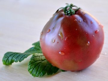 Tomato 